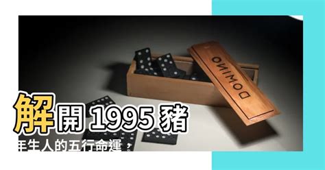 1995豬五行 儒讀音